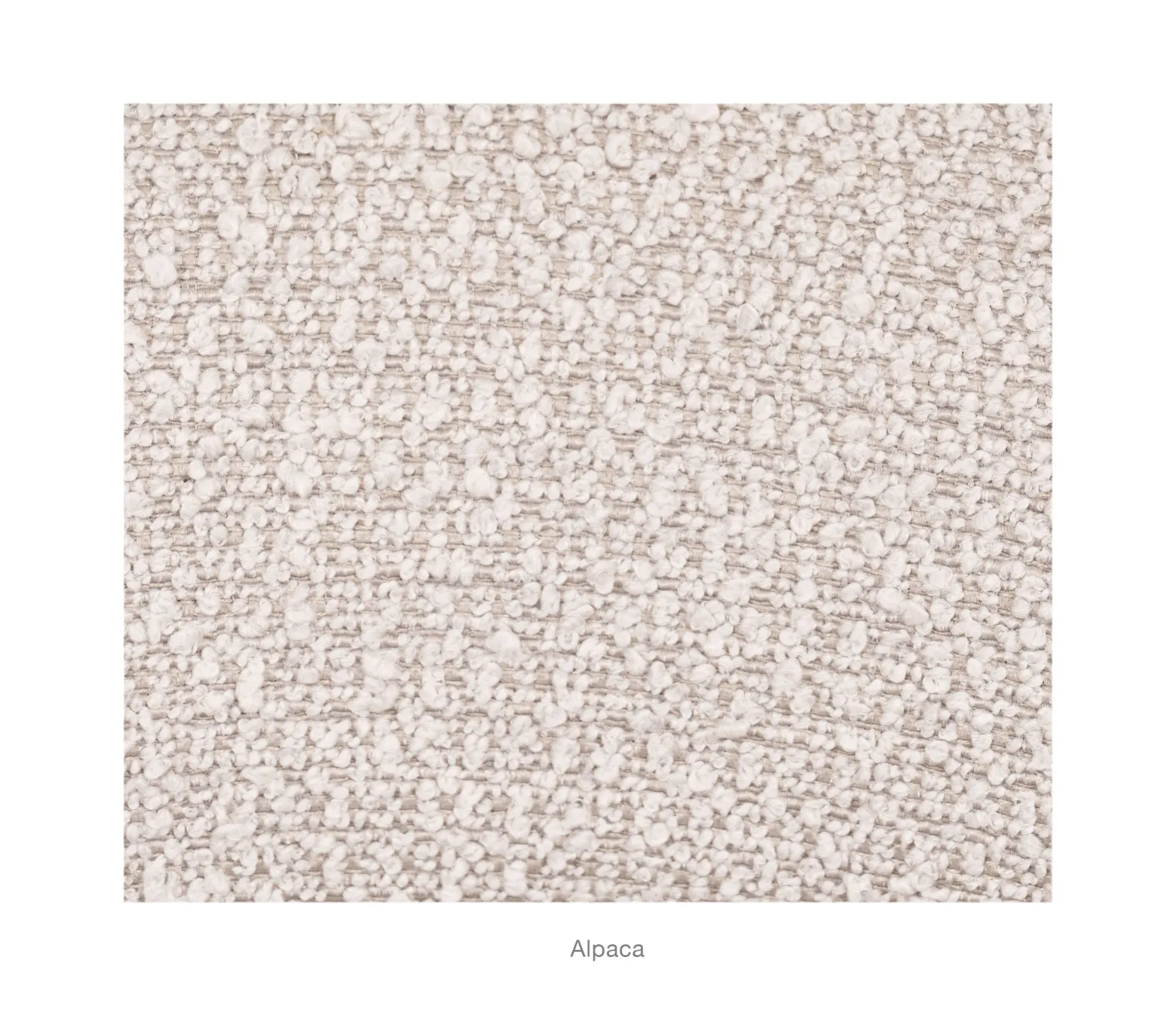 Adina Dining Chair