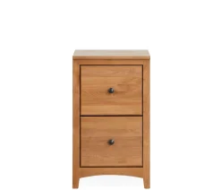 Cartwright 2-Drawer File