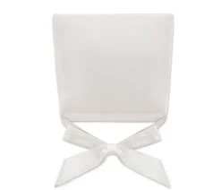 Chair Cushion