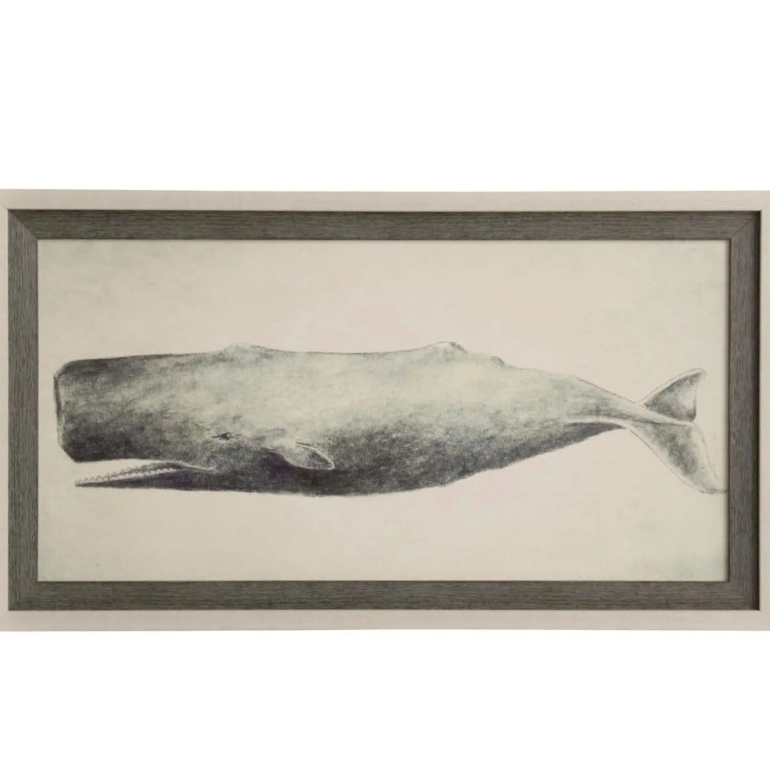 Classic Whale Framed Print