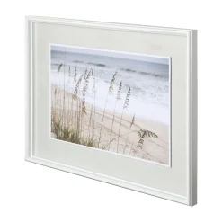Silver Seagrass